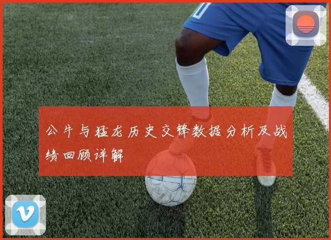 公牛与猛龙历史交锋数据分析及战绩回顾详解