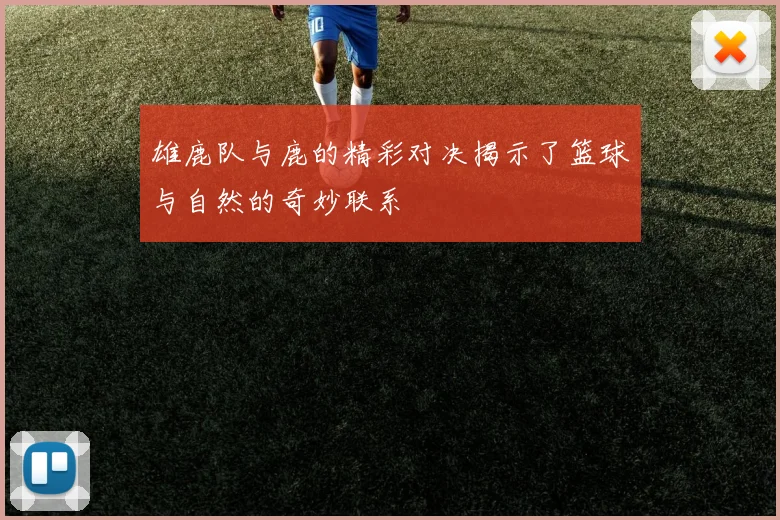 雄鹿队与鹿的精彩对决揭示了篮球与自然的奇妙联系