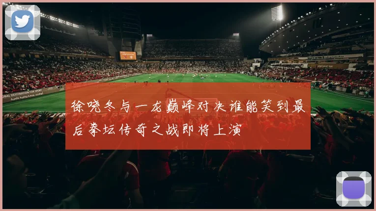 徐哓冬与一龙巅峰对决谁能笑到最后拳坛传奇之战即将上演