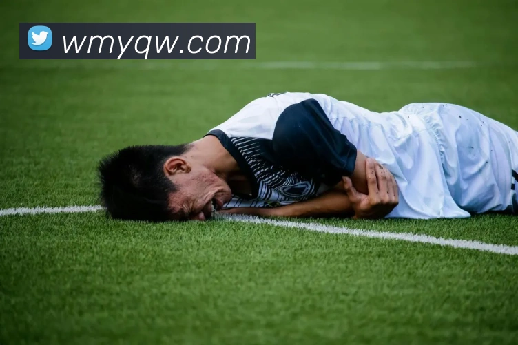 多媒体互动体验